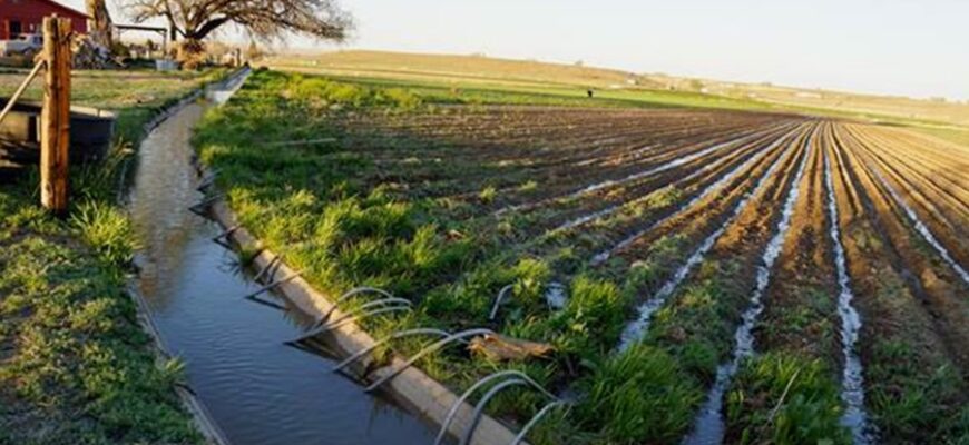 Що таке меліорація земель: визначення, методи, переваги та ефекти