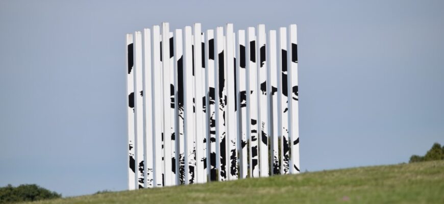 Що таке меморія: сутність, функції та застосування у повсякденні