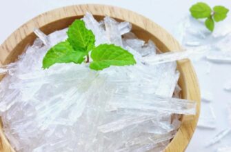 Розкриваємо секрети ментолу: походження, користь та застосування