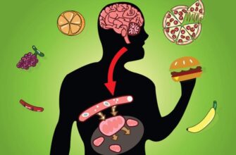 Відкрийте секрети метаболізму: як він впливає на ваше здоров’я