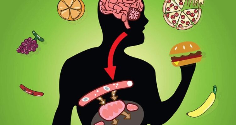 Відкрийте секрети метаболізму: як він впливає на ваше здоров’я