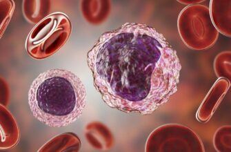 Моноцити в крові: визначення, функції та роль в організмі людини