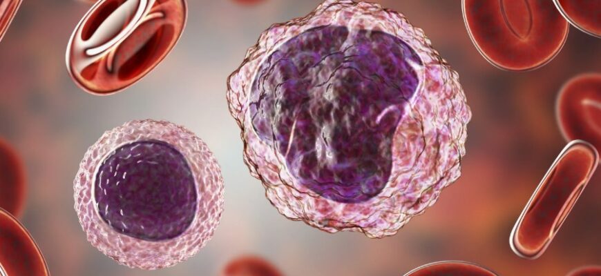 Моноцити в крові: визначення, функції та роль в організмі людини