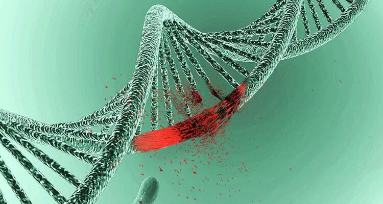Мутація: визначення, причини виникнення та вплив на організм людини