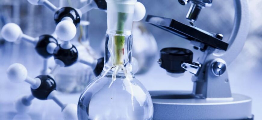 Що таке нуклеотид: основні елементи ДНК та їх функції