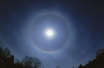 Ореол: Визначення, поява та значення в різних культурах і релігіях