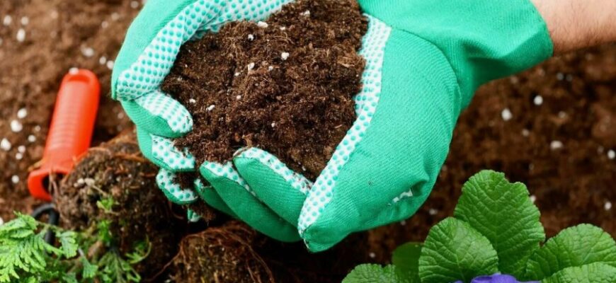 Органічні добрива: Види, переваги та застосування в садівництві