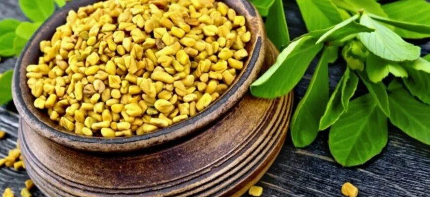 Що таке пажитник: Користь, застосування і вирощування цієї рослини Що таке пажитник: Користь, застосування і вирощування цієї рослини