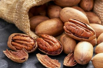 Пекан: Властивості, Користь і Використання в Щоденному Раціоні