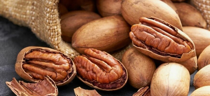 Пекан: Властивості, Користь і Використання в Щоденному Раціоні