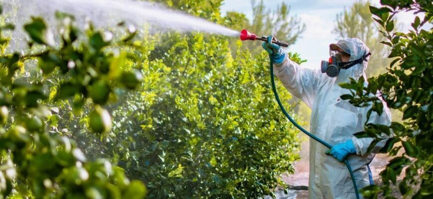 Пестициди: Визначення, види та їх вплив на навколишнє середовище