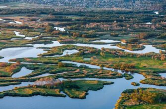 Плавні: визначення, значення та роль у природному середовищі