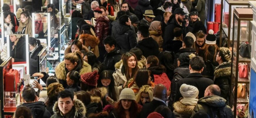 Попит і пропозиція: основи економіки в простих прикладах і фактах