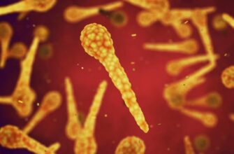 Що таке правець: симптоми, причини виникнення та способи захисту