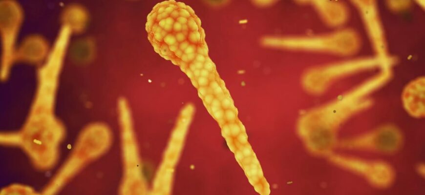 Що таке правець: симптоми, причини виникнення та способи захисту