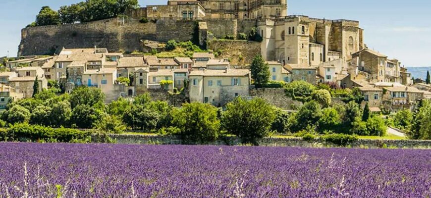 Відкрийте таємниці Провансу: історія, культура та виноградники Франції