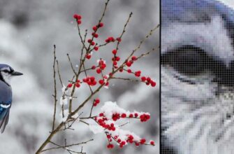 Растрове зображення: Визначення, особливості та переваги формату