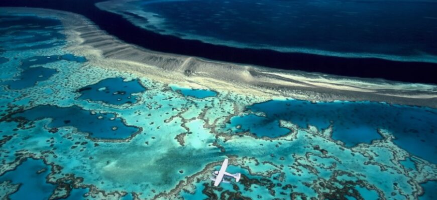 Рифи: визначення, види та значення у морських екосистемах