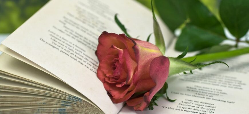 Рубаї: Поетична форма Сходу з глибоким змістом та гармонією