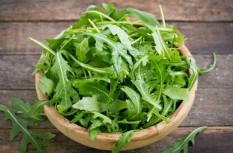 Рукола: Користь, Властивості та Застосування в Кулінарії та Здоров’ї