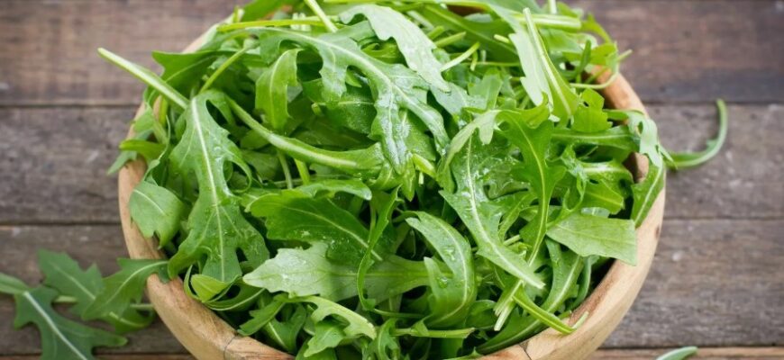 Рукола: Користь, Властивості та Застосування в Кулінарії та Здоров’ї