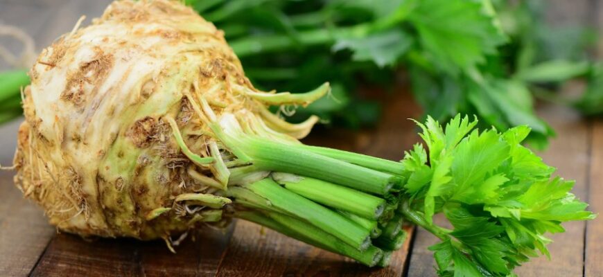 Що таке селера: користь, види та застосування у вашому раціоні