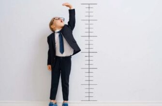 Шкала: Визначення, Призначення та Використання в Повсякденному Житті