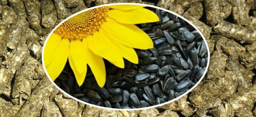 Шрот: Визначення, користь та застосування в сучасному агробізнесі