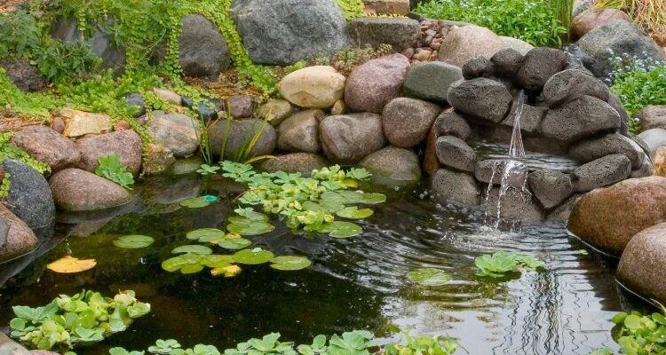 Штучні водойми: визначення, види та їх використання в Україні