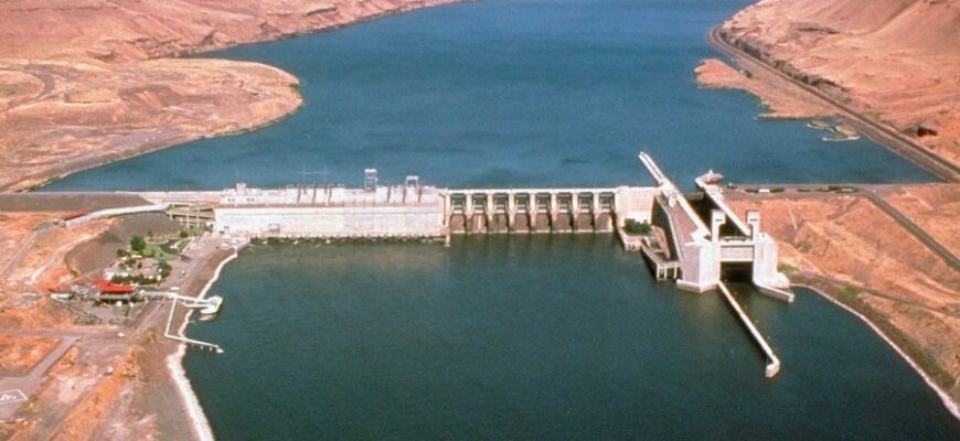 Що таке штучні водойми: види, переваги та облаштування території