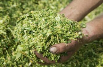 Що таке силос: огляд основних характеристик та користі для фермерства