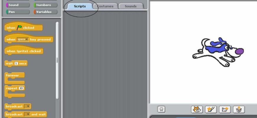 Що таке Scratch: основи програмування для дітей і початківців