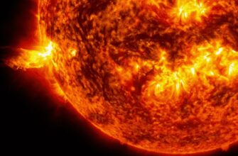 Сонячні нейтрино: основи та значення для земної науки