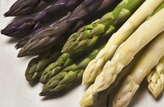 Всі секрети спаржі: користь, вирощування та смачні рецепти страв