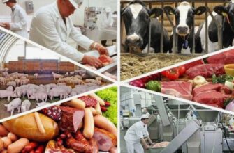 Спеціалізація: Визначення, переваги та значення у сучасному світі