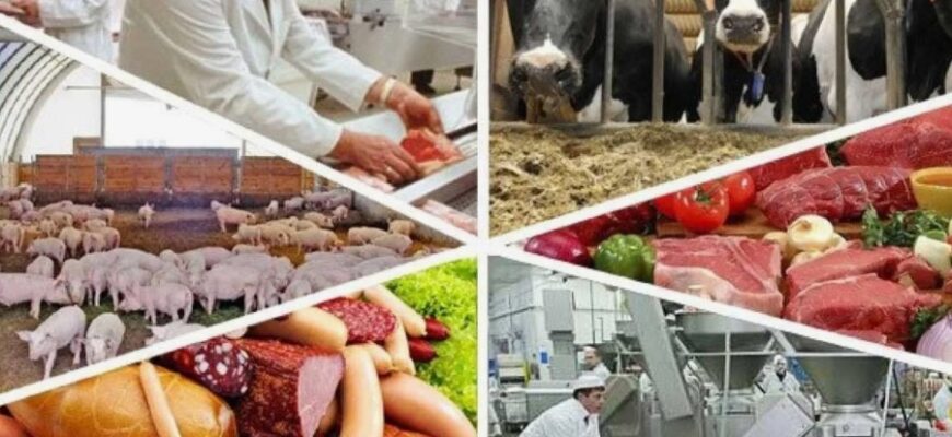 Спеціалізація: Визначення, переваги та значення у сучасному світі