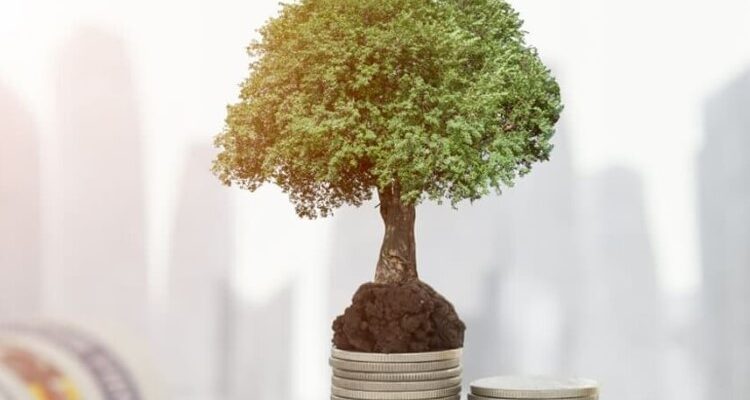 Що таке статутний капітал: визначення, роль та особливості формування