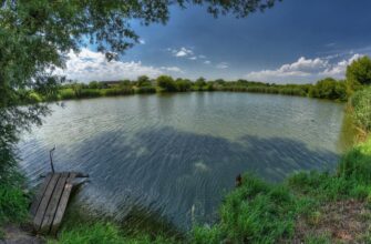 Ставок: Визначення, призначення та переваги водних об’єктів