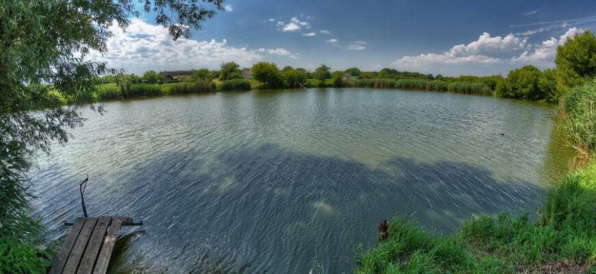 Ставок: Визначення, призначення та переваги водних об’єктів