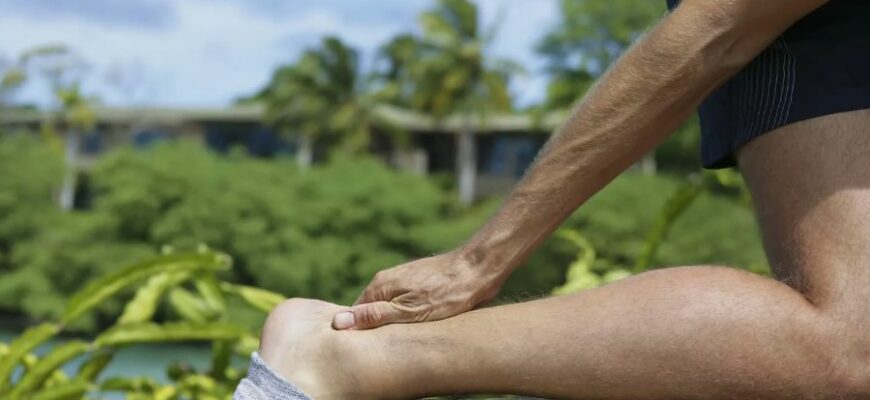 Сухожилля: Будова, функції та значення у функціонуванні організму