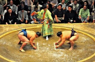 Вступ до Сумо: Історія та Правила Японського Боротьби для Початківців