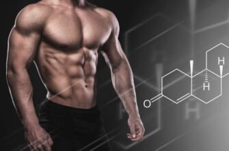 Що таке тестостерон: головний гормон чоловічого організму і його роль