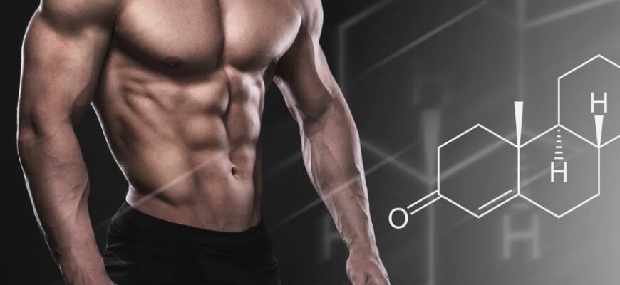 Що таке тестостерон: головний гормон чоловічого організму і його роль