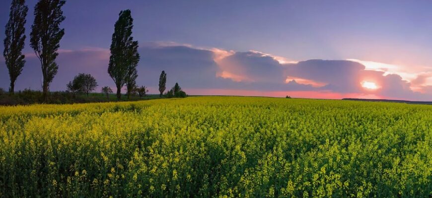 Волинь: Історія, культура та сучасність західного регіону України