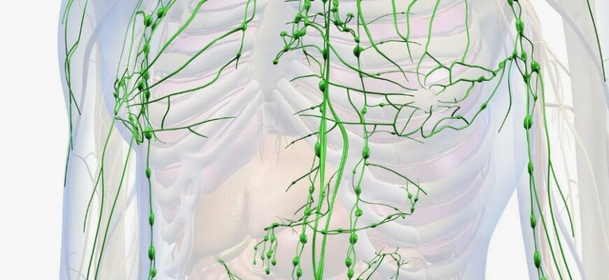 Застій лімфи: Причини, симптоми та ефективні методи лікування Застій лімфи: Причини, симптоми та ефективні методи лікування