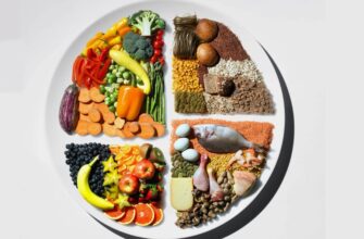 Що таке Здорове харчування: Основи, Поради та Корисні Продукти