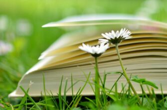 Що таке Зелена книга: значення, цілі та важливість для суспільства