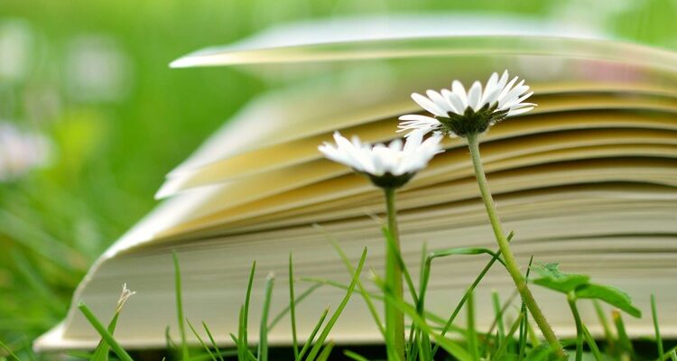 Що таке Зелена книга: значення, цілі та важливість для суспільства