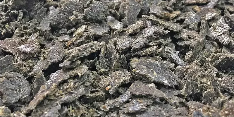 Розуміння шроту: Визначення, зміст та значення в харчуванні тварин