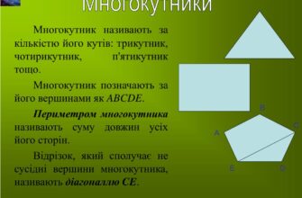 Все про многокутники: визначення, властивості та класифікація фігур